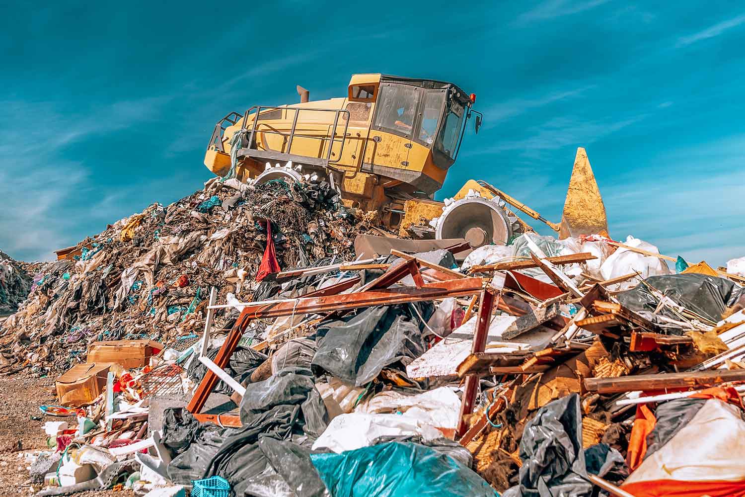 debris removal service Pasco County job site cleanup